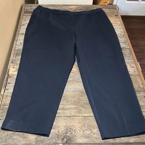 Investments Woman Navy Blue Slacks/Pants 20WS (short) Zipper on the Side